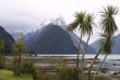Nouvelle Zélande - Splendeurs NZ