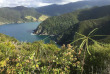 Nouvelle-Zélande - Coromandel - Randonnée sur la côte sauvage du Nord de Coromandel
