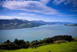 Nouvelle-Zélande - Dunedin - Croisière Monarch Cruises dans le port d'Otago et Observation de la faune marine © DunedinNZ