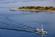 Nouvelle-Zélande - Dunedin - Croisière Monarch Cruises dans le port d'Otago et Observation de la faune marine © DunedinNZ