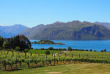 Nouvelle-Zélande - Wanaka - Les vignobles du Central Otago © Nouvelle-zelande-a-la-carte.com