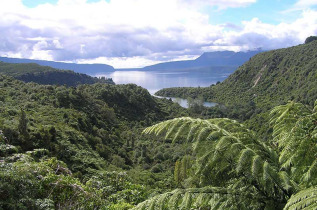 Nouvelle-Zélande - Rotorua - Croisière sur le lac Tarawera et marche dans la forêt pluviale
