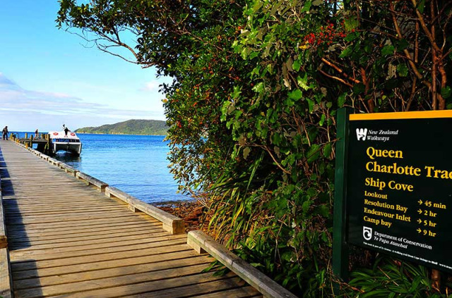 Nouvelle-Zélande - Marlborough Sounds - Croisière dans les Malborough Sounds, arrêt au Punga Cove Resort