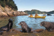 Nouvelle-Zélande - Abel Tasman National Park - Abel Tasman en kayak - merveilles naturelles
