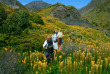 Nouvelle-Zélande - Kaikoura - Randonnée alpine dans les hauteurs de Kaikoura
