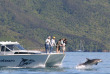 Nouvelle-Zélande - Marlborough Sounds - Nage avec les dauphins