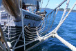 Nouvelle-Zélande - Bay of Islands - Croisière en voilier à bord du R. Tucker Thompson