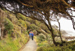 Nouvelle-Zélande - Stewart Island - Croisière dans l'anse de Paterson, inclus marche guidée sur l'île d'Ulva