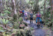 Nouvelle-Zélande - Stewart Island - Randonnée guidée sur la Rakiura Great Walk