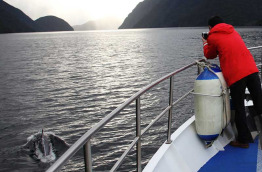 Nouvelle-Zélande - Te Anau - Croisière dans le Doubtful Sound à bord du MV Southern Secret