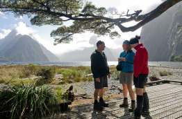 Nouvelle-Zélande - Te Anau - Croisière et randonnée dans le Fiordland