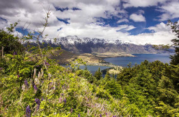 Nouvelle-Zélande - Ultimate Explorer au départ de Auckland © Flying Kiwi, Matthias Gudath