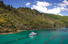 Nouvelle-Zélande - Marlborough Sounds - Le meilleur de Marlborough à terre et en mer