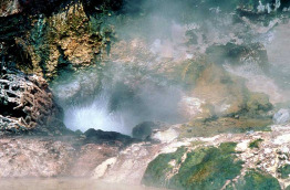 Nouvelle-Zélande - Rotorua - Découverte de la culture Maorie et de la géothermie à Rotorua