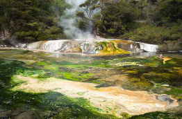 Nouvelle-Zélande - Rotorua - Wai-O-Tapu, Waimangu et Waikite, concentré de merveilles géothermiques