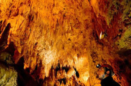 Nouvelle-Zélande - Waitomo - Excursion aux grottes de Waitomo