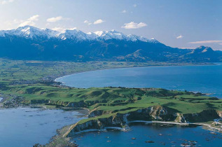 Nouvelle-Zélande - Kaikoura - Croisière d'observation du grand cachalot