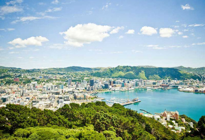 Nouvelle-Zélande - Wellington - Palliser Bay et vignobles hors sentiers battus