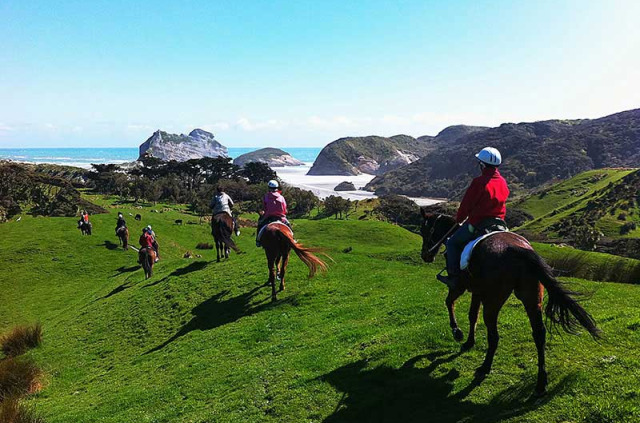Nouvelle-Zélande - Cape Farewell - Randonnée guidée à cheval au Puponga Farm Park
