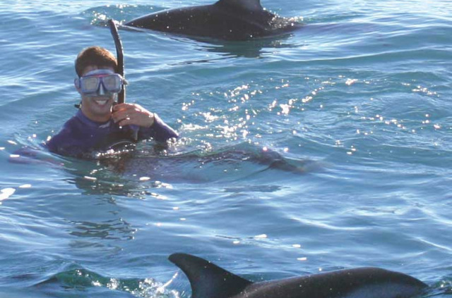 Nouvelle-Zélande - Marlborough Sounds - Nage avec les dauphins