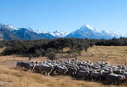 Parc National Aoraki Mt Cook