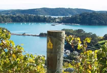 Waiheke Island