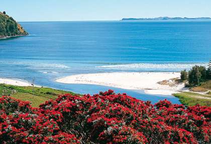 Péninsule de Coromandel