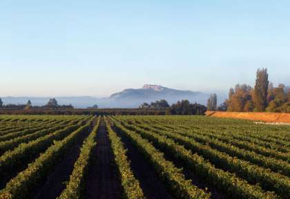 Hawkes Bay