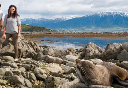 Kaikoura Whale Watch