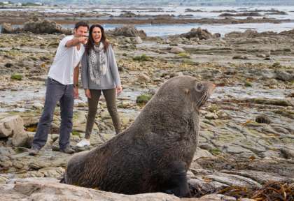 Kaikoura