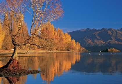 Lake Wanaka