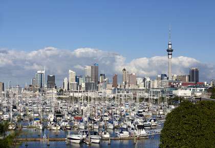 Auckland et ses voiliers
