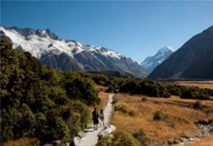 Mt Cook Walk