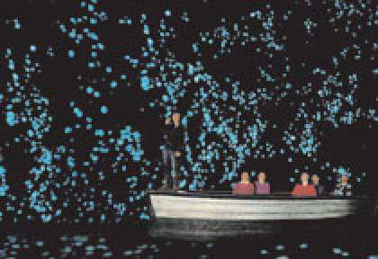 Waitomo Cave