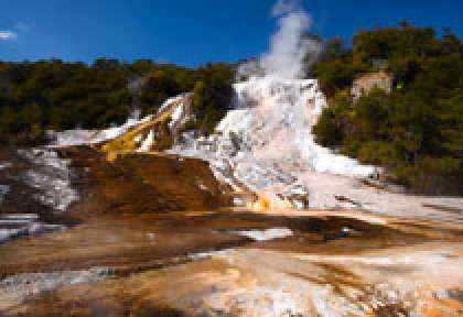 Orakei Korado