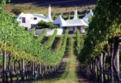 Hawke’s Bay Te Mata Estate