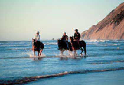 Hawke’s Bay