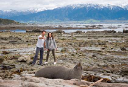 Kaikoura
