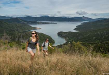 Marlborough Sounds