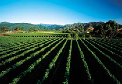 Marlborough