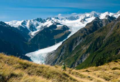 Fox Glacier