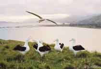 Peninsule d’Otago
