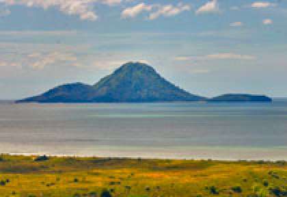 Bay of Plenty - Moutohora Island