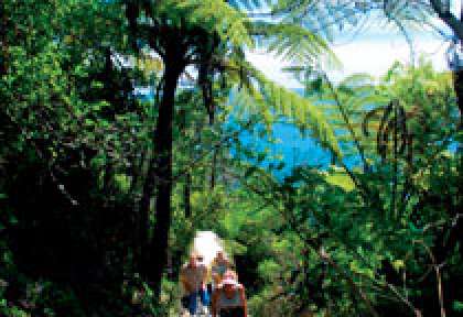Bay of Plenty