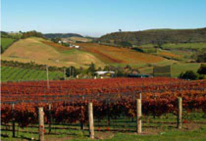 Waiheke Island