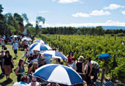 Martinborough - Wairarapa