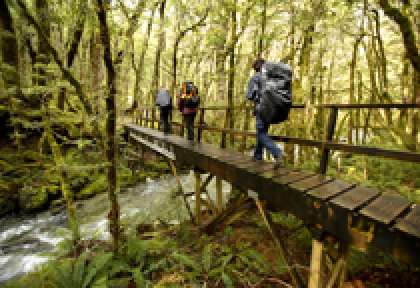 Kepler Track