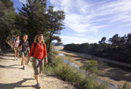 Abel Tasman Coast Track