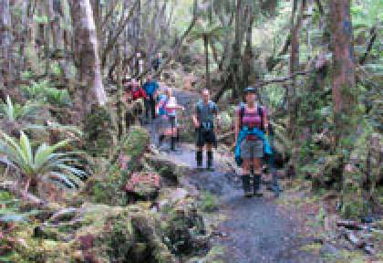 Rakiura Track