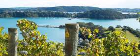 Waiheke Island